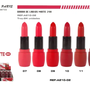 Easy paris lipstilks matte 24h